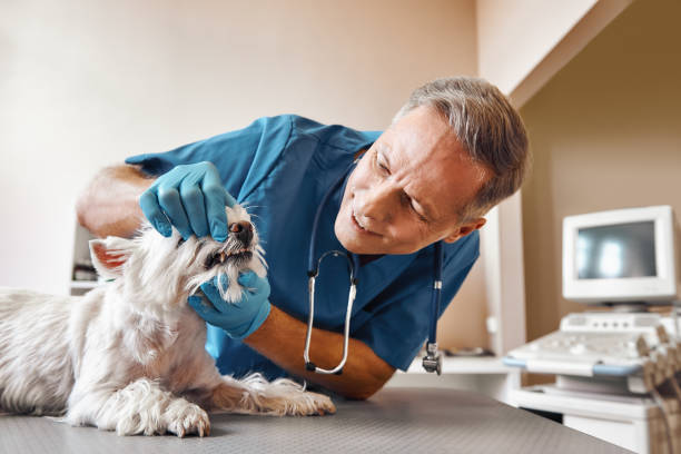Best Emergency Broken Tooth Repair in Salina, OK